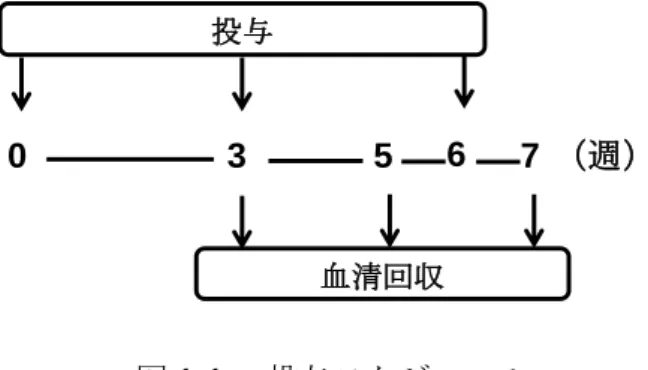 図 1-1.  投与スケジュール 036投与 （週）5血清回収7