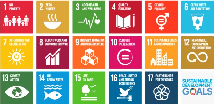 図 1-3  持続可能な開発目標（SDGs）の 17 の目標