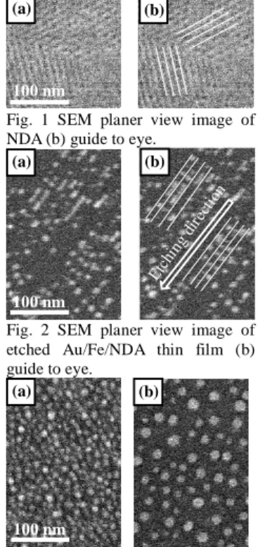 Fig.  1  SEM  planer  view  image  of  NDA (b) guide to eye. 