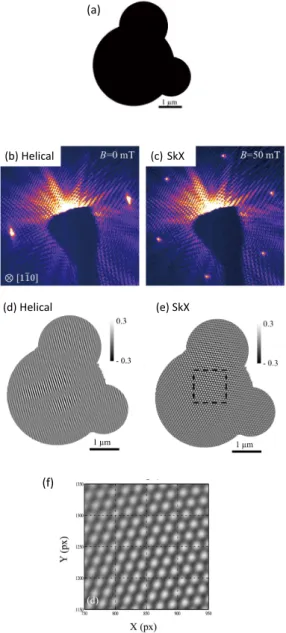 Figure 4  (a) Real-space support used for iterative phase retrieval. Resonant soft x-ray small-angle scattering patterns measured  at T = 280 K and (b) B = 0 mT corresponding to the helical  phase of FeGe; (c) B = 50 mT corresponding to the skyrmion  cryst