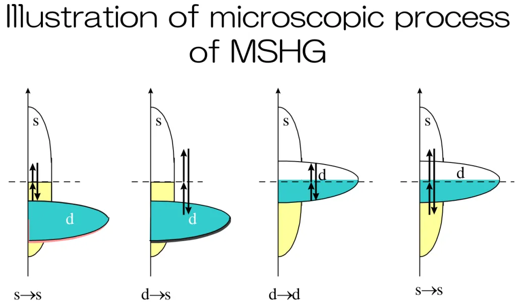 Illustration of microscopic process  of MSHG s d s d s d s d d→d s→sd→ss→s