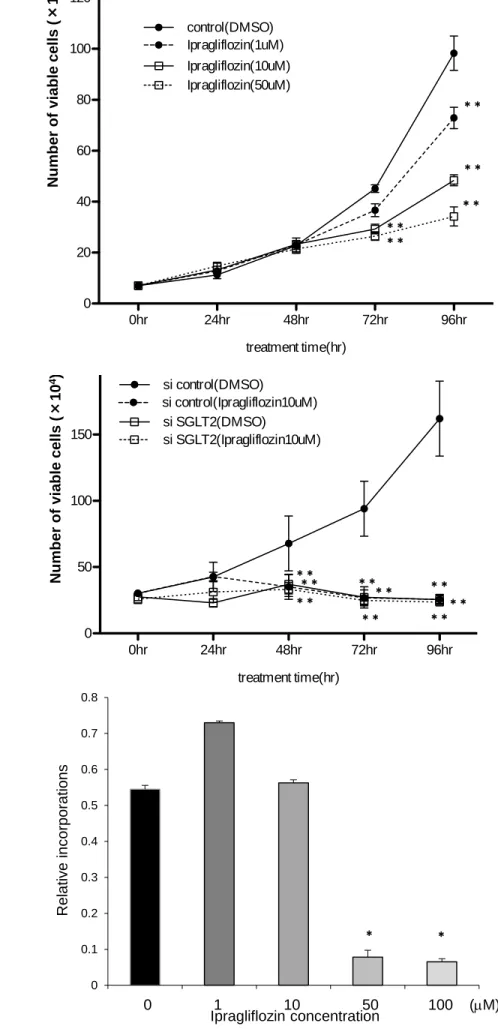 Figure 2 A B 0hr 24hr 48hr 72hr 96hr050100150200 treatment time(hr)si control(DMSO)si control(Ipragliflozin10uM)si SGLT2(DMSO)si SGLT2(Ipragliflozin10uM)