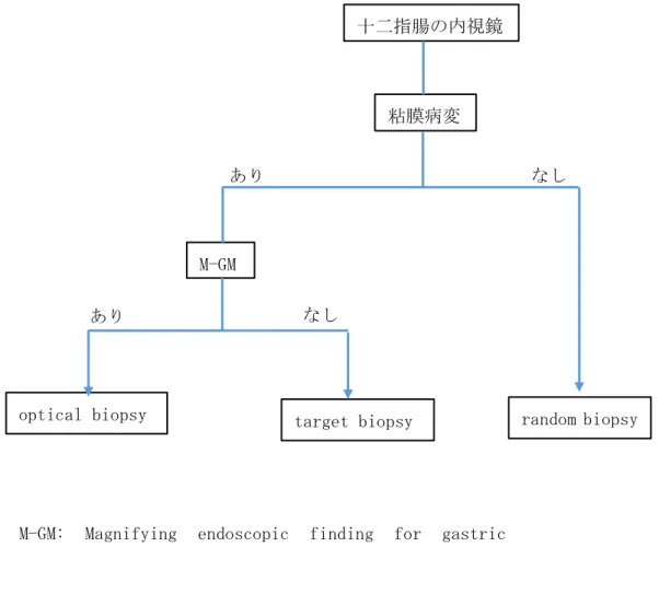 Figure 1  審査の結果の要旨    クローン病には胃の竹節状外観、十二指腸の縦列アフタやケルクリング皺壁上のノッ チ様陥凹など特徴的な上部消化管病変が知られており、これらは診断基準の副所見とし て診断確定に有用である。しかしながら、軽症の症例や鑑別困難例では、腸管や上部消 化管に典型的な所見を認めないことが多く、早期診断につながる新たな知見が望まれて いる。本臨床研究はクローン病患者における胃十二指腸粘膜の詳細な内視鏡的および病 理組織学的検討を行うことで、新たな疾患特異的所見を明らかにすることを目