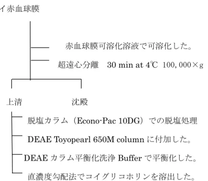 図 2-2.  コイ赤血球膜からのグリコホリンの調製 