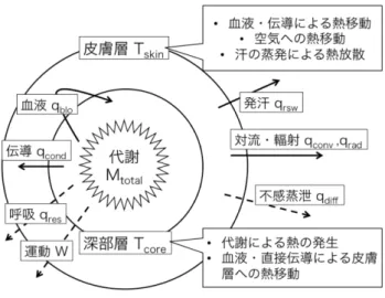 図 1 2 ノードモデル サーバでは 2 ノードモデルに基づき深部体温のシミュ レーションを行うため， (1) ユーザ情報 ( ユーザの身長，体 重から前もって計算した基礎代謝量，体表面積，皮膚層と 深部層の質量 ) ， (2) 環境情報 ( 環境センサから収集した気 温，湿度 ) ， (3) 生体情報 ( ウェアラブルセンサから収集し た心拍数に基づき推定した運動量 ) を入力として利用する． 提案手法では高精度に深部体温を推定するため， 2 ノード モデルにおける個人差を表すパラメータ（個人差パラメー 