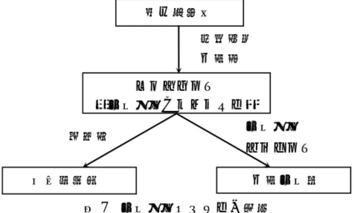 Figure 8    Development procedure of signal control system. 