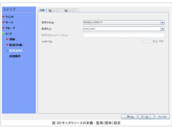 図 30:モニタリソースの定義 - 監視（固有）設定
