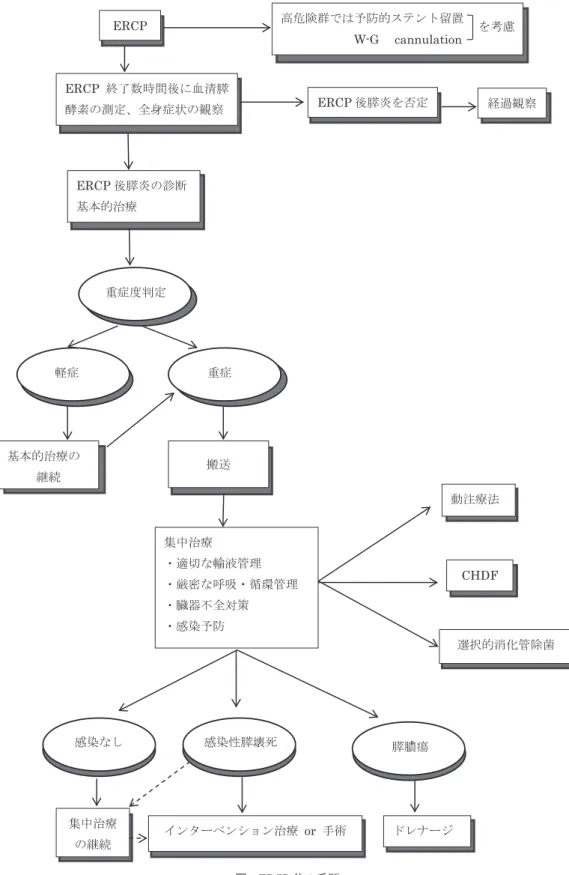 図　ERCP 後の手順