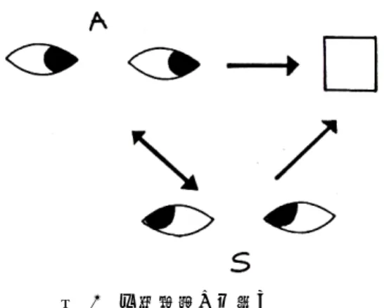 図  4  三項表象の仕組み  サイモン・バロン=コーエンの研究から神経心理学的な視点による PDD の問題を『注 意共有』を通して考えたい.  4.2  PDD の神経活動についての考察   注意共有の障害が PDD にとって問題であると考えるとき,当事者研究は,その生活の 中で特定の対象との共有が可能であることを示している 
