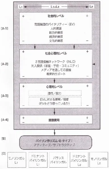 図 4  巨 視 的 バ イ リ ン ガ ル 育 成 モ デ ル（ Landry 