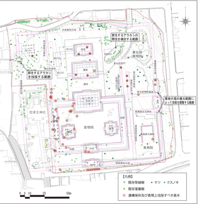 図 7-5  樹木伐採計画図  ㎝、礎石の埋設深度 10 ㎝とすると、基壇遺構の上面から 65 ㎝程度上が基壇の整備上面 となる。    なお、基壇上面の削平等破損が大 きい場合も、遺存する礎石や礎石下の基礎地業から 本来の基壇上面を想定し、ここから 65 ㎝上を整備レベルとす ることで、各堂塔の本来の 基壇の高さ関係が表現されることとなる。併せて、残された樹根に対しては、上部に保 護盛土を施すことで酸素供給を断ち、腐食による空洞化の進行を抑制することになる。  ③  遺物の保存    史跡指定地内からは、