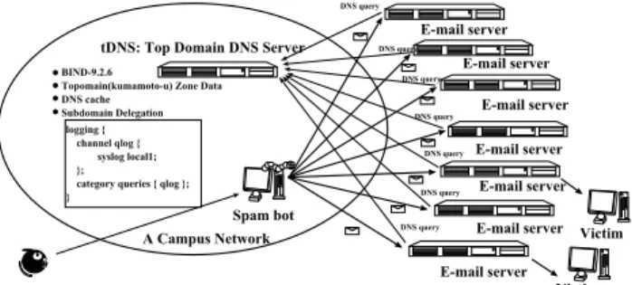 Figure 1. A schematic diagram of a network observed in the present study.