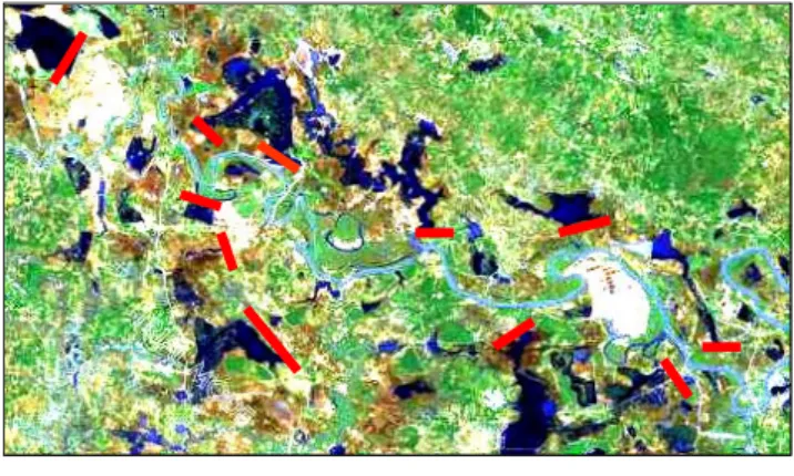 Fig. 9 Diagram of the simulation of the water balance in  wetland ecosystem 