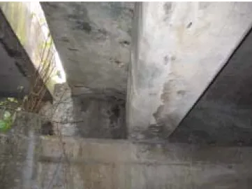 Fig. 3 Condition of main girder and (Bridge A) 