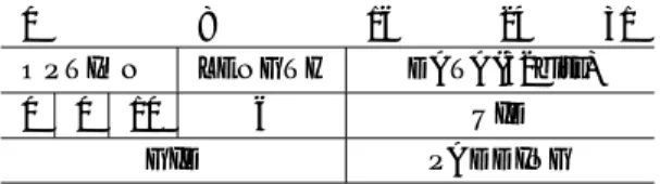 図 3 IP オプション USERINFO の構造 Fig. 3 Structure of IP option USERINFO