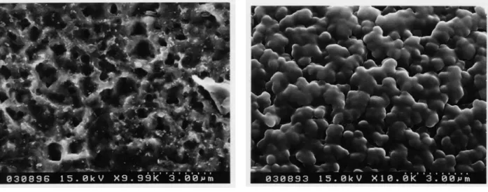 図 6  途中の被膜（10 s / 20 s 周期）  図 7   水素ガスが発生する直前の鉄表面 図 9  針金を用いた化学振動現象の反応メカニズム(予想図) 6)交互の振動現象   図8 のように内側容器に混合溶液を入れ振動現象を起こさせてから外側の容器に同濃度の混合溶液を加え観察した．内側と外側の針金表面から交互に水素ガスが発生し，時間が経過してもその現象が交互に起こった．このことにより，電子のやりとりは針金表面とそこに接している溶液との間で完成していることがわかる．図8  交互の振動装置図   反応