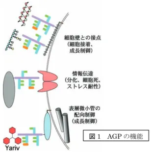 図 1  AGP の機能