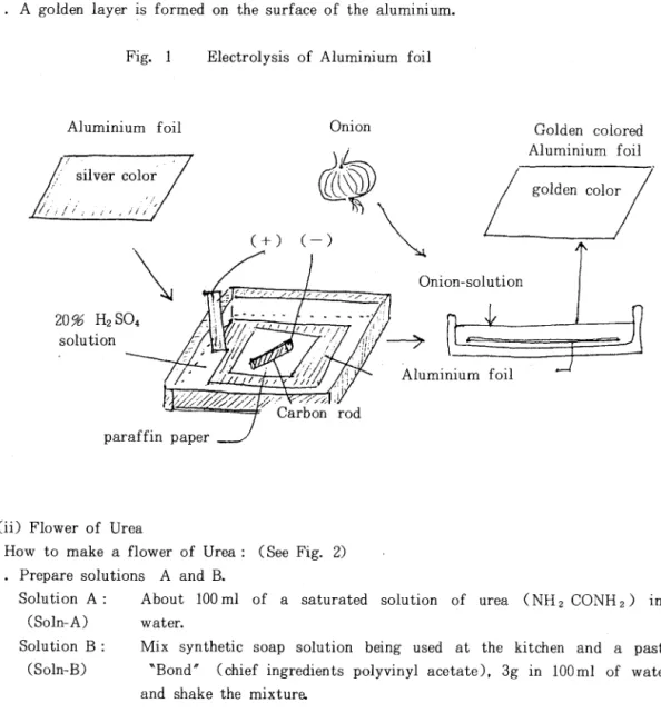 Fig. 1 Electrolysis of Aluminium foil