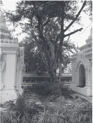 Fig. 8　Trees being cut back