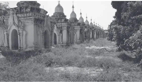 Fig. 10   Vegetation overgrowth