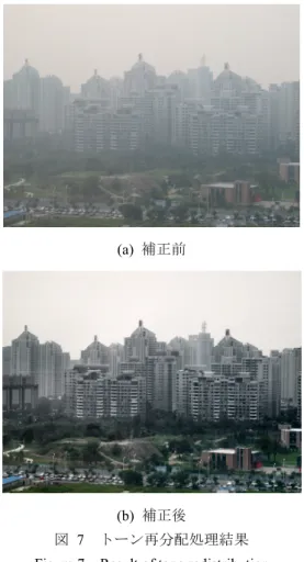 図  9  照明光・反射光補正処理結果  Figure 9 Result of illumination/reflectance correction 