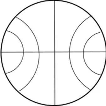 Figure 1. Geodesics on a ball model of C H n