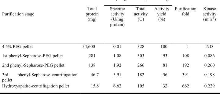 Table 1. Rat liver BCKDH complex purification steps. 