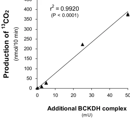 Fig. 2.    Relationship between the production of  13 CO 2  and the quantity of additional  BCKDH complex