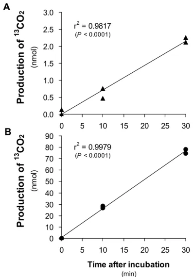 Fig.  3.    Relationship  between  the  production  of  13 CO 2   and  the  reaction  time  for  BCKDH complex
