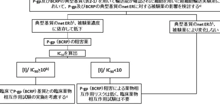 図 2-3.   被験薬が P-gp 及び BCRP の阻害薬となる可能性の検討
