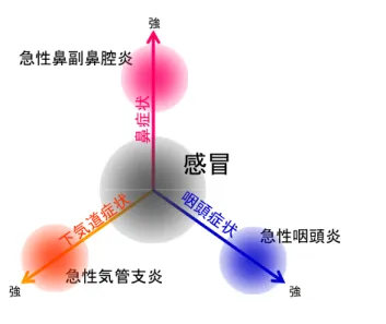 図 2. 急性気道感染症の病型分類のイメージ  強 急性気管支炎 急性咽頭炎急性鼻副鼻腔炎 強 強感冒鼻症状 ( ⅰ )感冒  発熱の有無は問わず、鼻症状（鼻汁、鼻閉）、咽頭症状（咽頭痛）、下気道症状 （咳、痰）の 3 系統の症状が「同時に」、「同程度」存在する病態（表 1）を有するウイ ルス性の急性気道感染症を、本手引きでは感冒に分類する。すなわち、非特異的 上気道炎や普通感冒と表記される病態についても、本手引きでは、感冒と分類す る。  感冒の自然経過は、典型的には、まず微熱や倦怠感、咽頭痛を生じ、続い