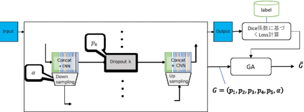 図 5 GA で学習するパラメータと学習の流れ． 図 6 GA の最適化のアルゴリズム． 図 7 3 クラスの領域分割の例，ラベル画像には各画素に対応した チャンネルのインデックス， one-hot 画像には各画素をチャン ネル方向に考えたとき，一つのチャンネルの画素値のみ１であ り，それ以外の画素値は 0 とする． ごとに保存されているラベル画像のペアで与えられてい る．クラス数はオリジナルデータセットでは 7 ， ADE20K Corridor Dataset のクラス数は 13 である． 3