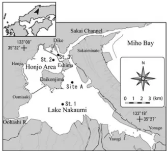 Fig. 1. Location of study sites (St.1, 2, 3 and Site A) in  Lake Nakaumi, southwest Japan