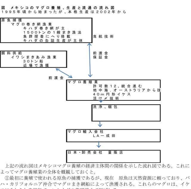 図 　 メ キ シ コ の マ グ ロ 養 殖 、 生 産 と 流 通 の 流 れ 図 １ ９ ９ ５ 年 頃 か ら 始 ま っ た が 、 本 格 生 産 は ２ ０ ０ ２ 年 か ら 原 魚 捕 獲 マ グ ロ 巻 き 網 漁 業 キ ハ ダ 巻 き 網 が 主 １ ５ ０ ０ ト ン の １ 艘 ま き 漁 法 魚 群 探 査 に へ り 搭 載 曳 航 技 術 キ ハ ダ の 缶 詰 生 産 が 主 体 餌 料 供 給 前 渡 金 イ ワ シ ま き あ み 漁 業 保 証 金 ３ ０ ト ン 