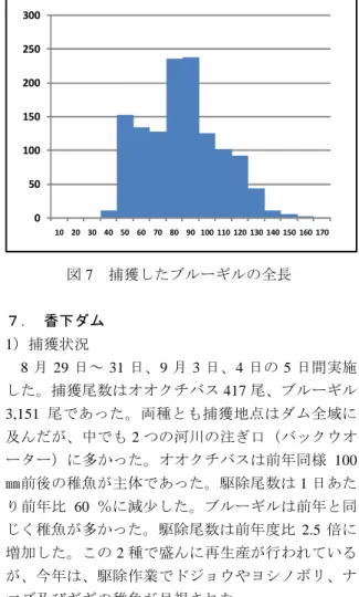 図 5 捕獲したオオクチバスの全長 ６． 芹川ダム 8 月 6 日～ 8 日の 3 日間実施した。オオクチバス 166 尾、ブルーギル 1,293 尾であった。オオクチバ スは、前年度比 4 倍以上(1 日あたり）であった。 駆除されたほとんどの個体が 300 ㎜以上の大型であ り、ダムの岸ほぼ全域に分布していた。ブルーギル の駆除尾数も前年度比 4 倍であり、ダムの入り江（わ んど）に多く分布していた。全域で競合魚種のナマ ズ、コイ少ないうえに、わんどでもオイカワ等の小 型魚類がほとんど目視できなかった。