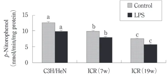Table 2 . Time C ourse of Hepatic Drug  metabolizing Enzyme Activities in IC R  Mice After Injection of LPS 