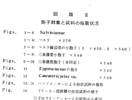 図    版    Ⅲ 胞 子群 集 と試 料 の採取 状況 Figs.   1̲8  Salviniaceae l― ξ   マス ラ   X270 5〜 6:  マス ラ縁辺部の小胞子 (5 X450,6 X54o) 7〜 8:三 条溝型小胞子  X54o Figs.  9〜 10  三 条溝型胞子 (未 同定 )    x540 Figs.  1l   z理 。 mataceaeの 胞子      x540 Figs.  12    ε″多 σ″ ノ ″グ θ卵 ノ′ s sp.      x540 
