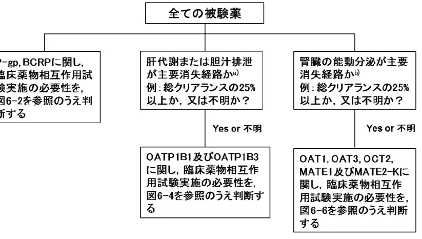 図 6-1：被験薬が P-gp, BCRP, OATP1B1, OATP1B3, OAT1, OAT3, OCT2, MATE1 及び MATE2-K トランスポーターの基質となる可能性 842  843  の検討  844  845  846  a）肝経路が重要となる被験薬(例：肝代謝または胆汁分泌クリアランスが，総クリアランスの 25%以上)については，肝取り込みトランスポーターの OATP1B1 847 