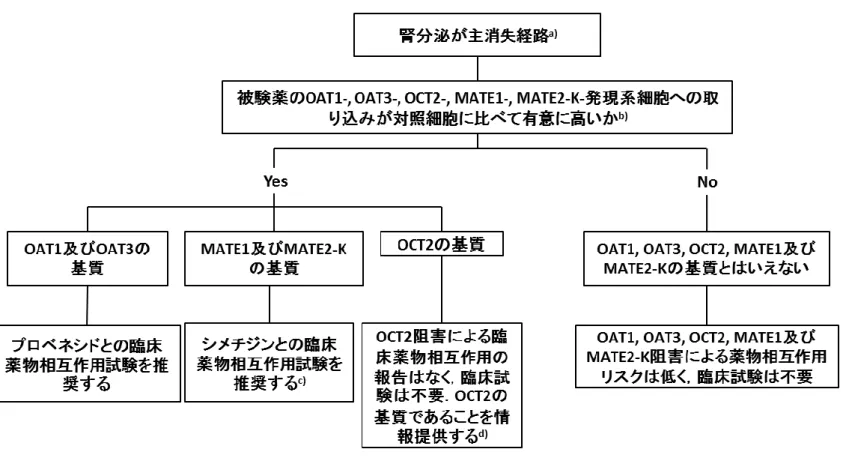 図 6-6:  被験薬が OCT2, OAT1,OAT3, MATE1 及び MATE2-K の in vivo 基質となる可能性の評価  920  921  922  923  a) 図 6-1 を参照  924  b) 典型基質（表 6-5）の発現系細胞への取り込みが，非発現細胞の 2 倍以上で，典型阻害薬(表 6-5）により，阻害薬の添加濃度と Ki 値より理論的に見積も 925  られる程度，有意に阻害されることを確認する．被験薬の発現系細胞への取り込みが，非発現細胞の 2 倍以上で，かつ典型阻害薬