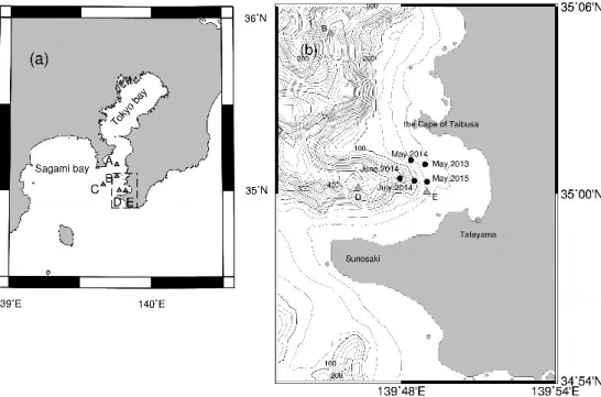 Fig. 1 Observation Site,（a）Tokyo bay and Sagami bay, and（b）Tateyama bay shown as dashed area of（a）with contours of depth（50m interval)