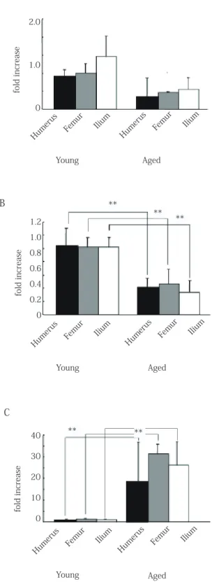 Fig. 6 Mean mRNA expression levels. The levels of Cbfa1 (A),  Bmi-1 (B) and p16 (C) mRNAs were normalized against ß-actin  (**, p > 0.01; *, p > 0.05).