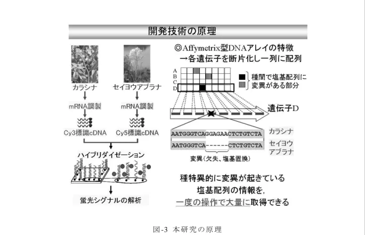 図 -3  本 研 究 の 原 理  