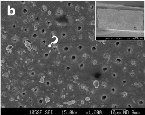 Fig. 2-4 Representative SEM images of the fractured surfaces on the dentin side after micro-tensile  bond strength test. (a) Single Bond/regular, 23.3 MPa, (b) Single Bond/superfine, 11.2 MPa.   Failure in adhesive interfacial area is shown in all parts.  
