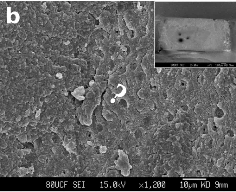 Fig. 2-5 Representative SEM images of the fractured surfaces on the dentin side after micro-tensile  bond strength test. (a) Non-coated/regular, 15.7 MPa, (b) Non-coated/superfine, 20.5 MPa.   Mixed failure of adhesive interfacial area failure and cohesive
