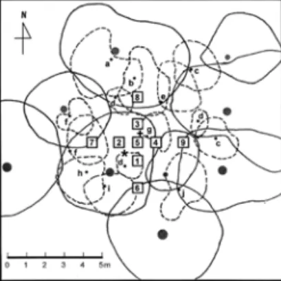 Fig. 2.   Canopy projection map of study plot and locations of measurement points for soil respiration  (1–9)