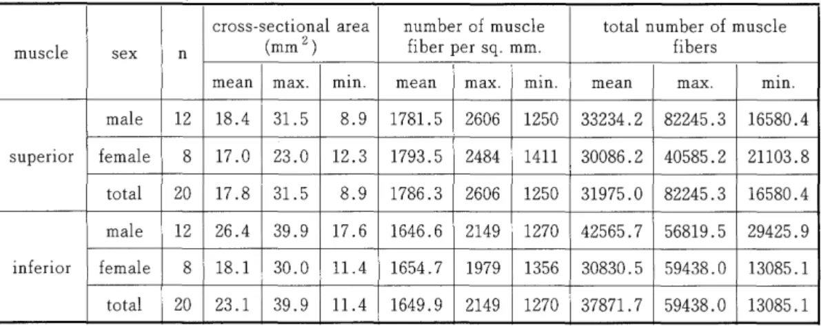 Table 1 .   C r o s s  s e c t i o n a l  a r e a ，  number o f  muscle f i b e r  p e r  s q 