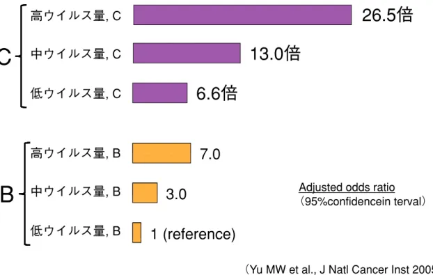 図 4 肝癌のリスク。高ウイルス量かつ遺伝子型 C で最もリスクが高い
