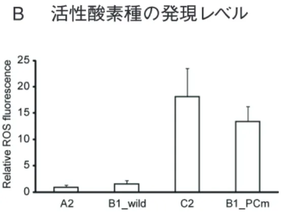 図 7 キメラマウス肝組織における細胞傷害性の解析