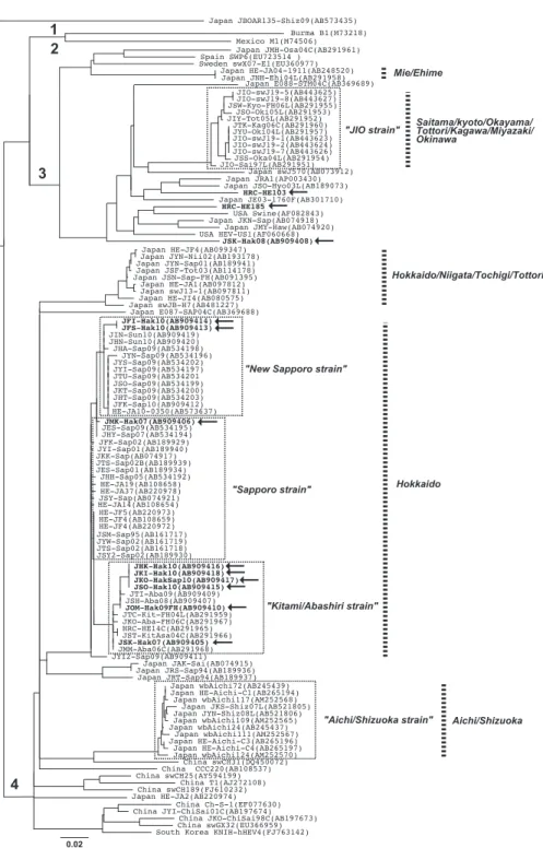 Fig. 2 Phylogenetic tree was constructed based on 326 nt sequence in open reading frame  (ORF)  1  of  HEV  genotype  4  by  neighbor-joining  method