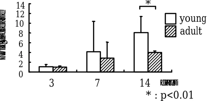 Fig. 2 DSP mRNA expression